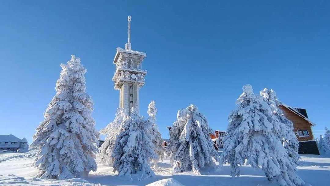 Apartmán Petra Kovářská Exterior foto