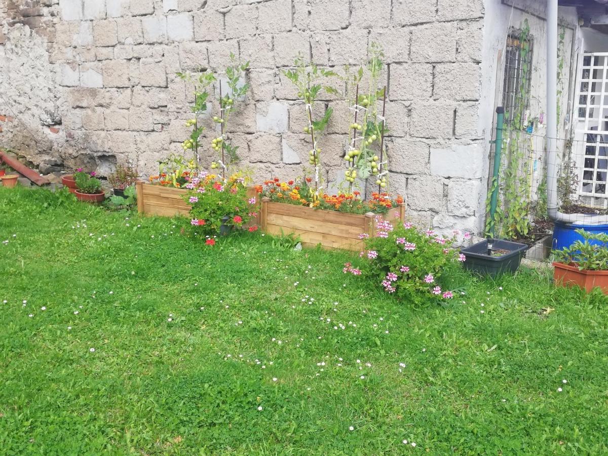 Apartmán Petra Kovářská Exterior foto